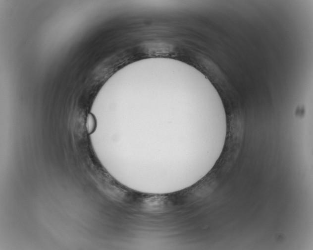 X0000110740761200907061007