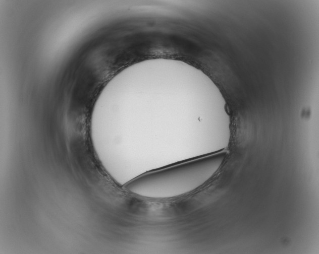 X0000110740762200907061007