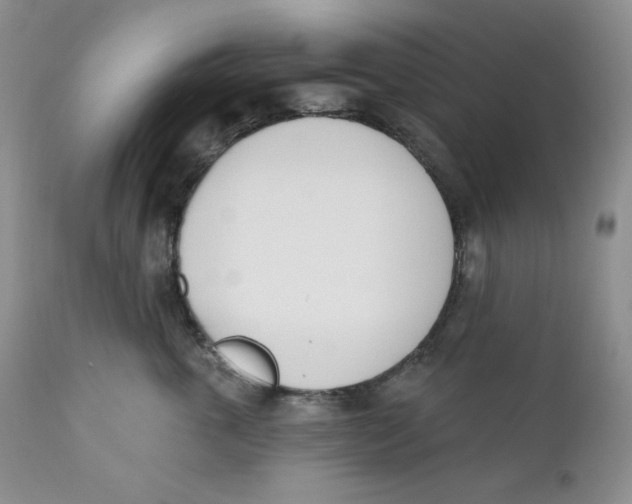 X0000110740763200907061007