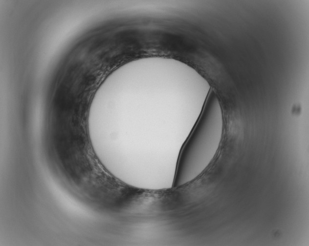 X0000110740764200907061007