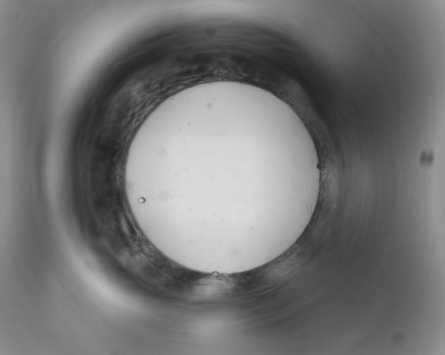 X0000110740765200907061007