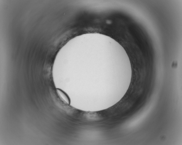 X0000110740767200907061007