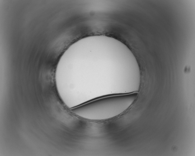 X0000110740768200907061007