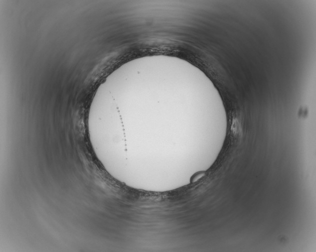 X0000110740771200907061006