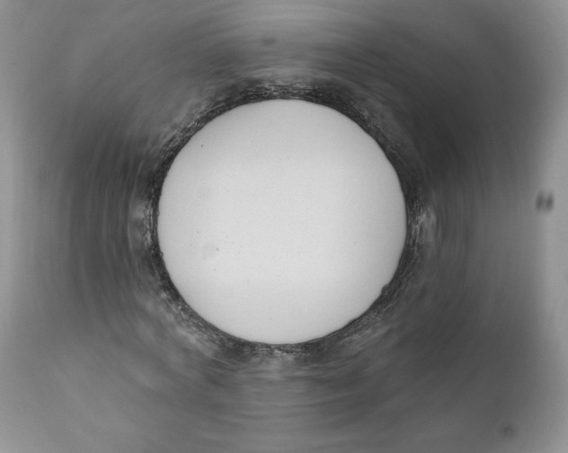 X0000110740772200907061006