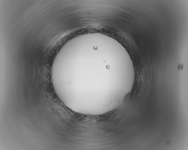 X0000110740773200907061006