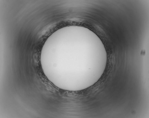 X0000110740774200907061006