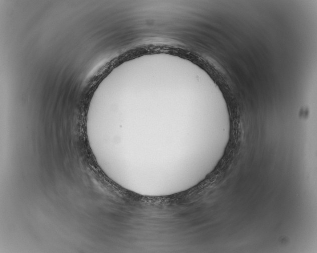 X0000110740775200907061006