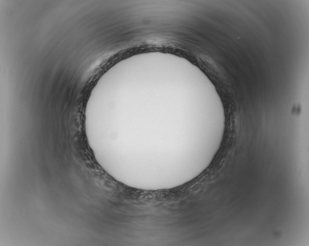 X0000110740776200907061006