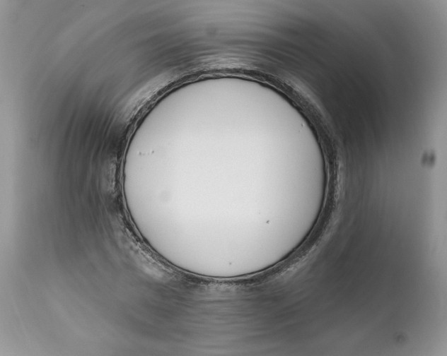 X0000110740777200907061006