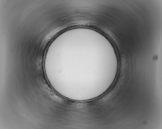 X0000110740778200907061006