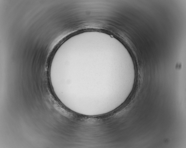 X0000110740779200907061006