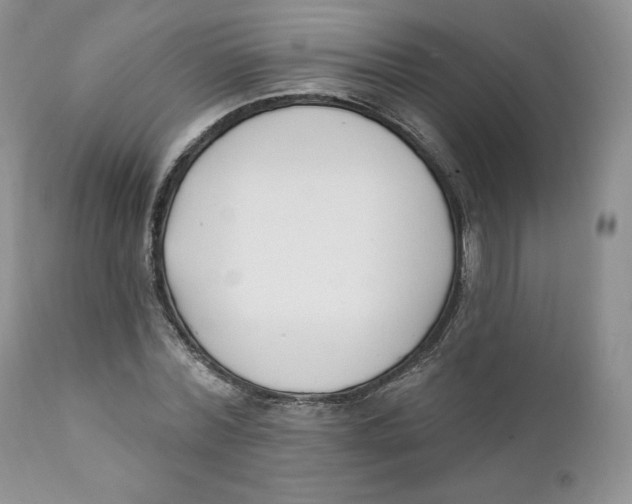 X0000110740780200907061006