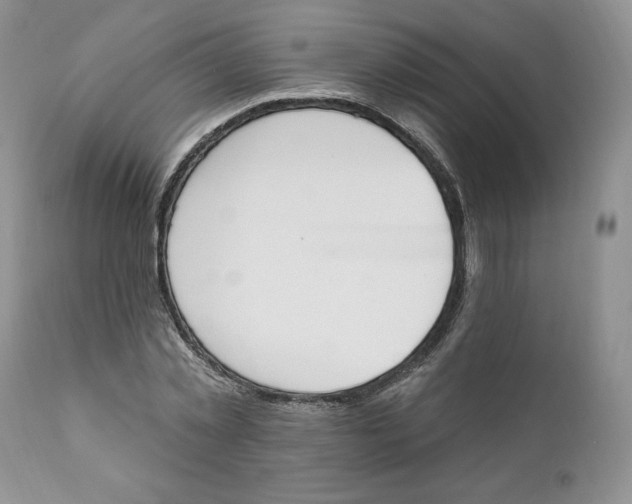 X0000110740781200907061006