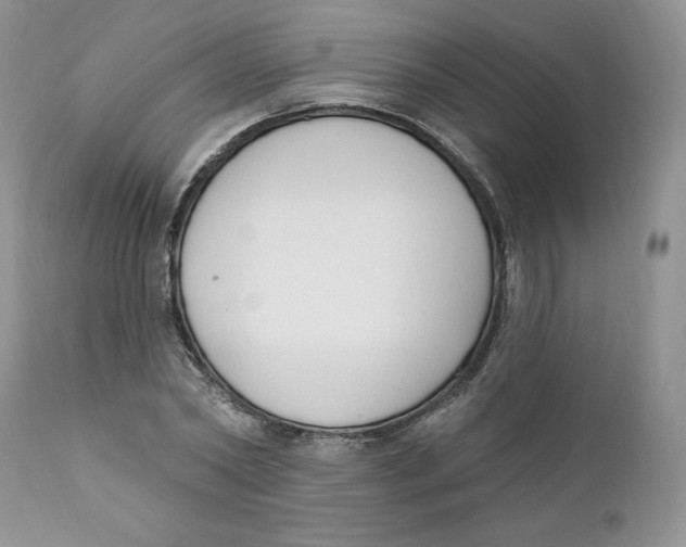 X0000110740782200907061006