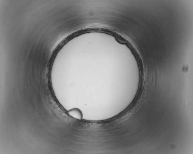 X0000110740783200907061006