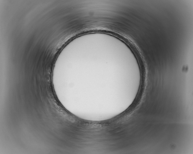 X0000110740785200907061006