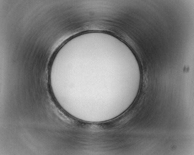 X0000110740787200907061006