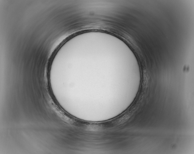 X0000110740788200907061006