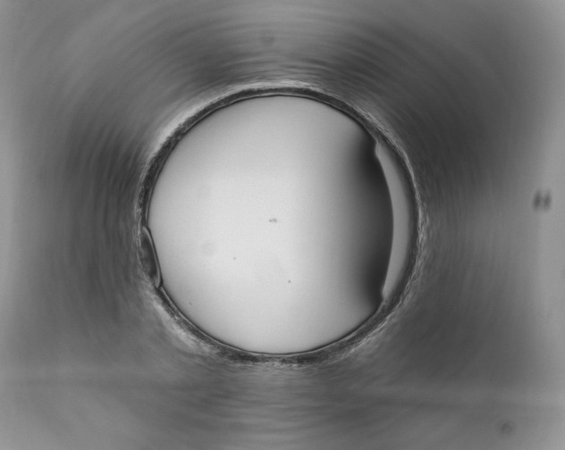 X0000110740789200907061006