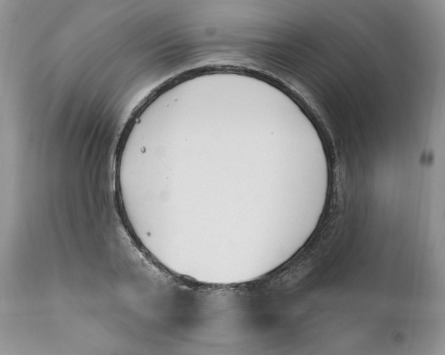 X0000110740791200907061006