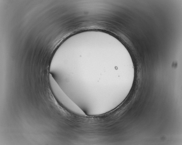 X0000110740793200907061006