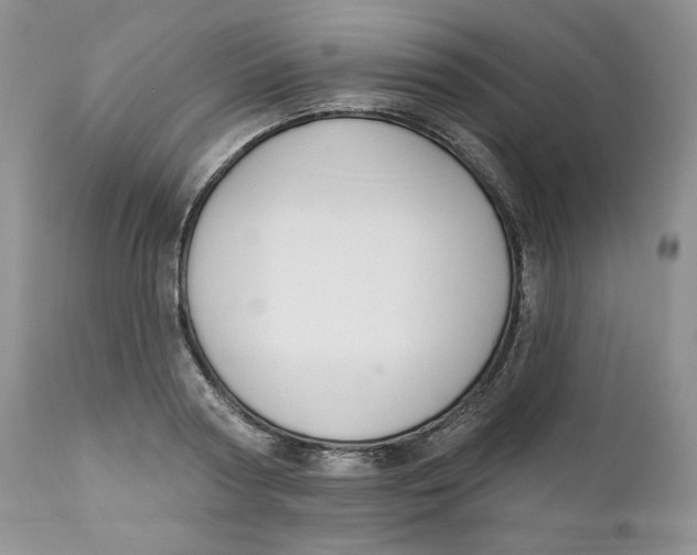 X0000110740794200907061006