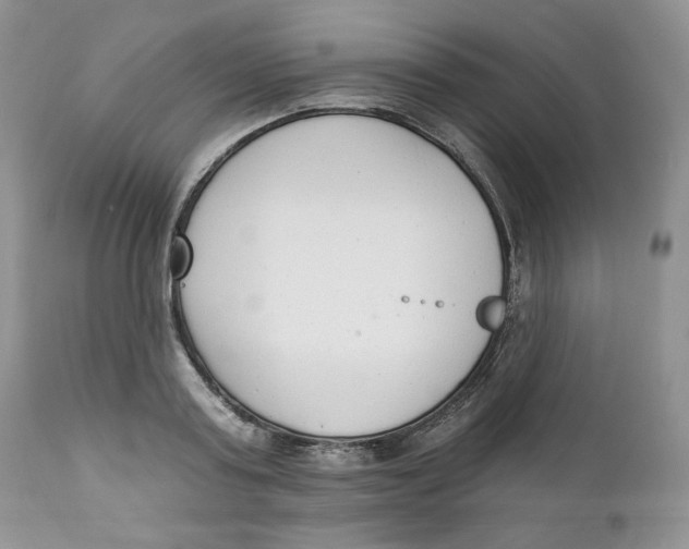 X0000110740795200907061006