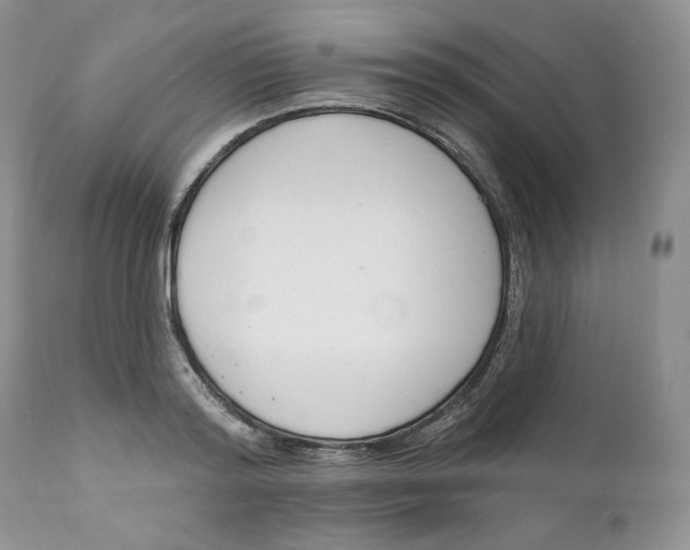 X0000110740796200907061005