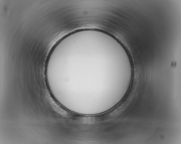 X0000110740797200907061005