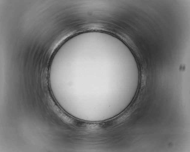 X0000110740798200907061005