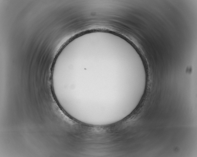 X0000110740799200907061005