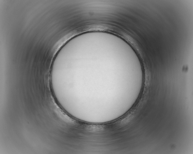 X0000110740802200907061005