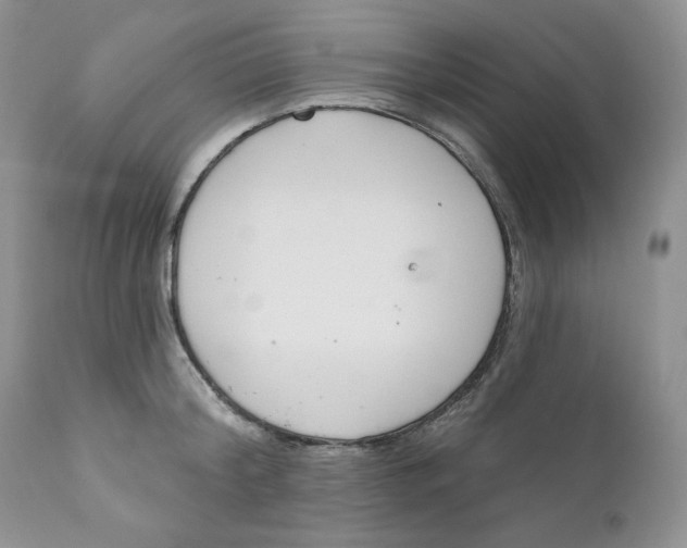 X0000110740804200907061005