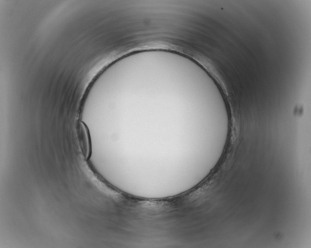 X0000110740805200907061005