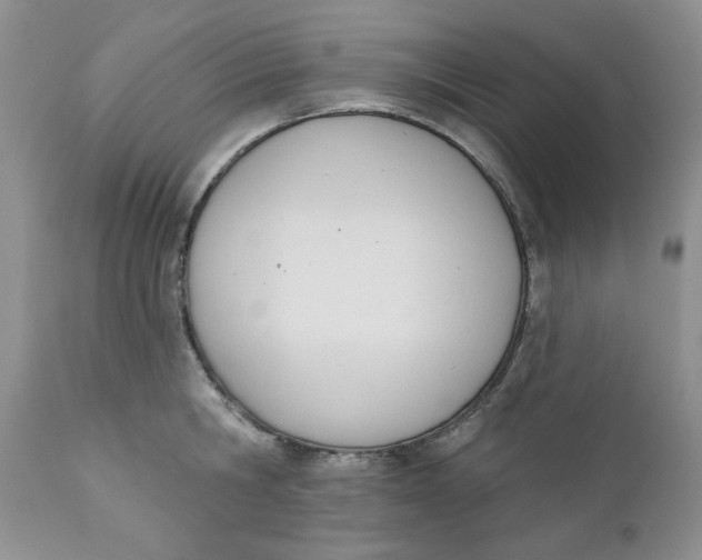 X0000110740806200907061005