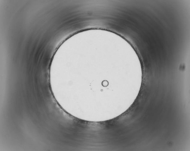 X0000110740807200907061005