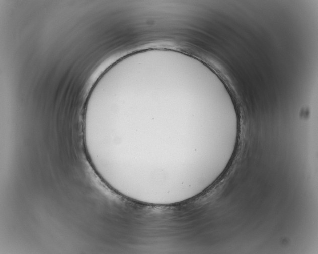 X0000110740808200907061005