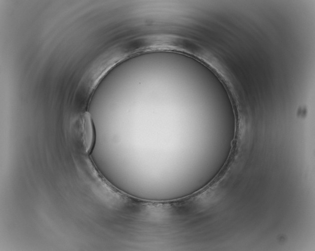 X0000110740809200907061005