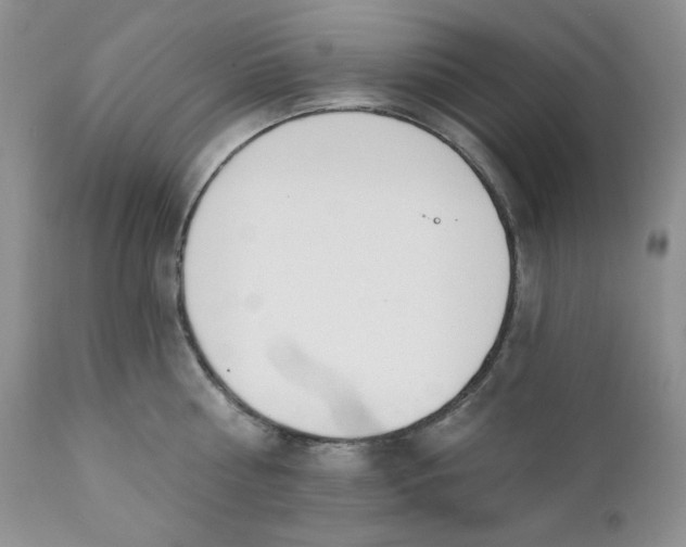 X0000110740810200907061005