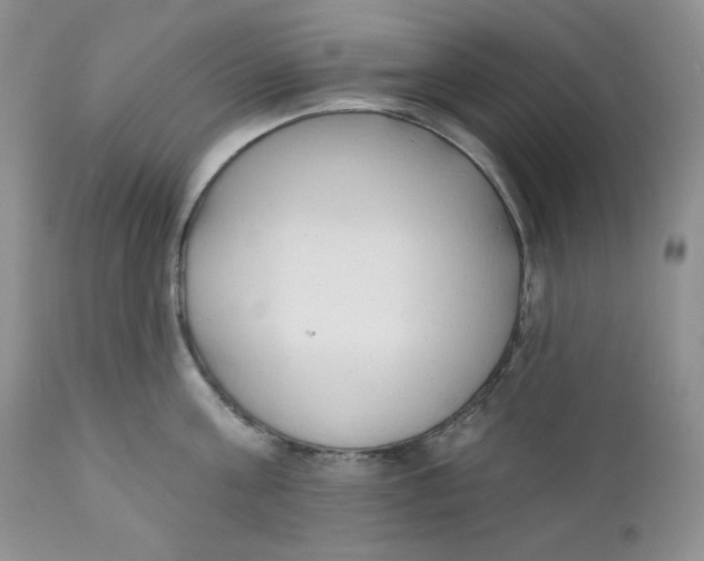 X0000110740811200907061005