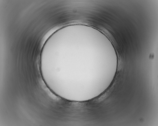 X0000110740812200907061005