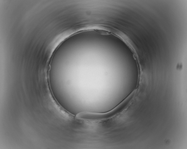 X0000110740813200907061005