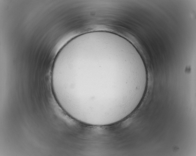 X0000110740814200907061005