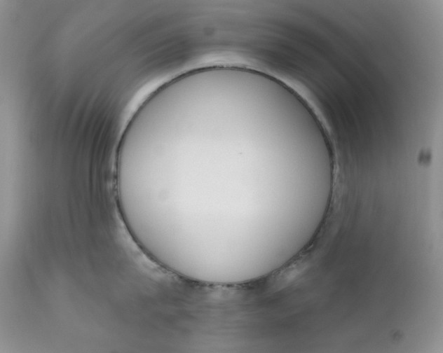 X0000110740815200907061005