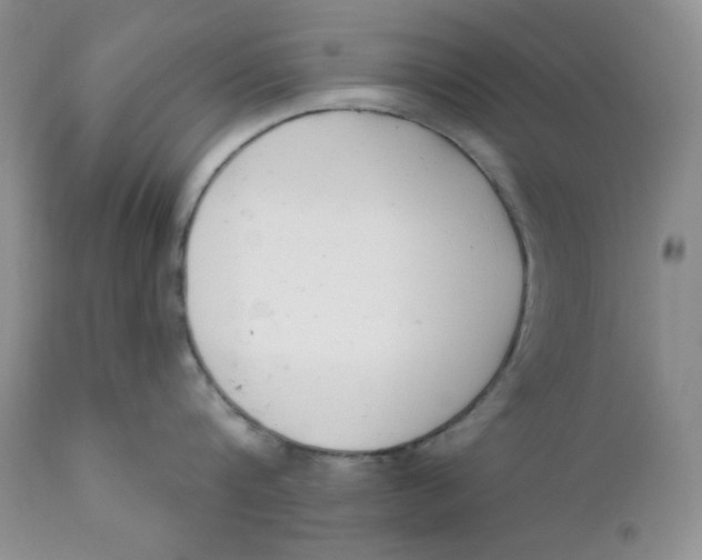 X0000110740816200907061005