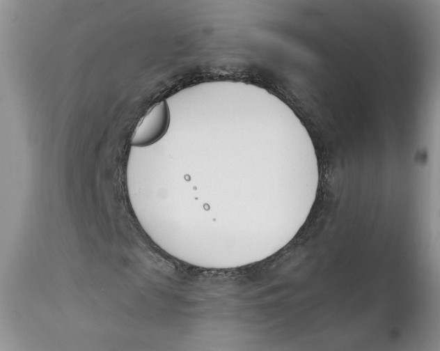 X0000110740817200907061005