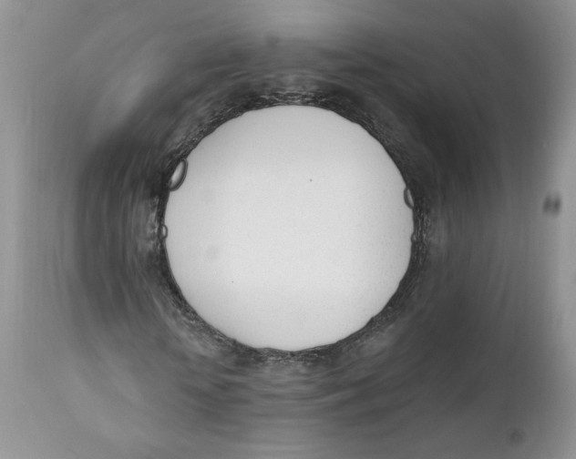 X0000110740818200907061005