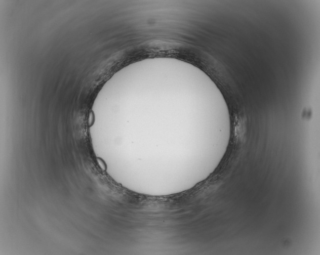 X0000110740819200907061005