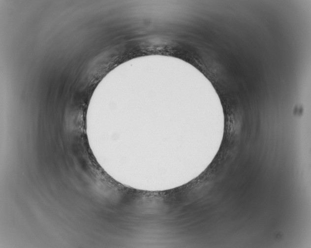 X0000110740820200907061005